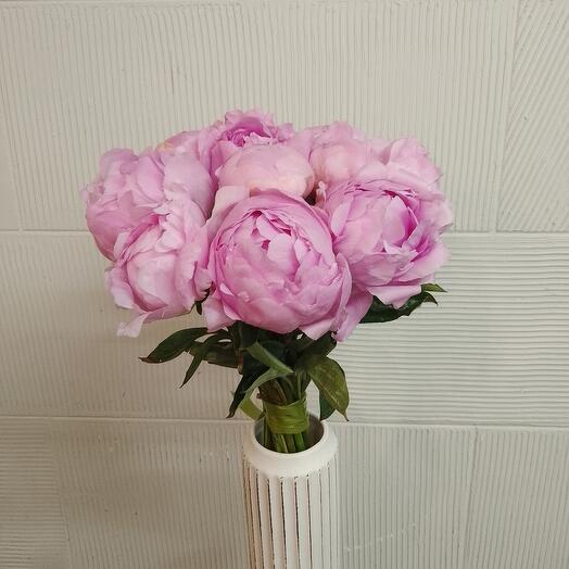 Peonía rosa