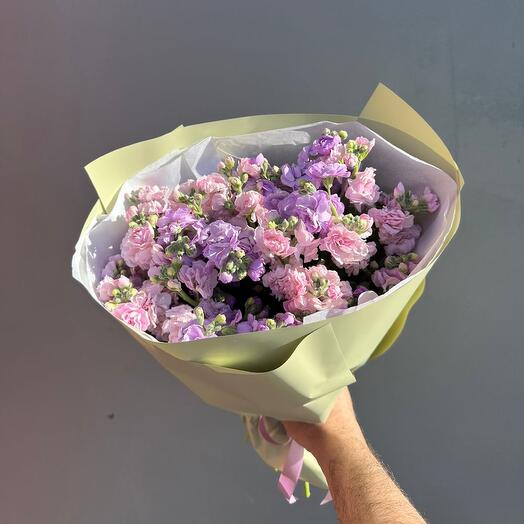 Fragrant matiola