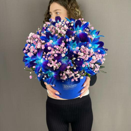 Flowers in a box with a blue orchid and pink Gypsophila
