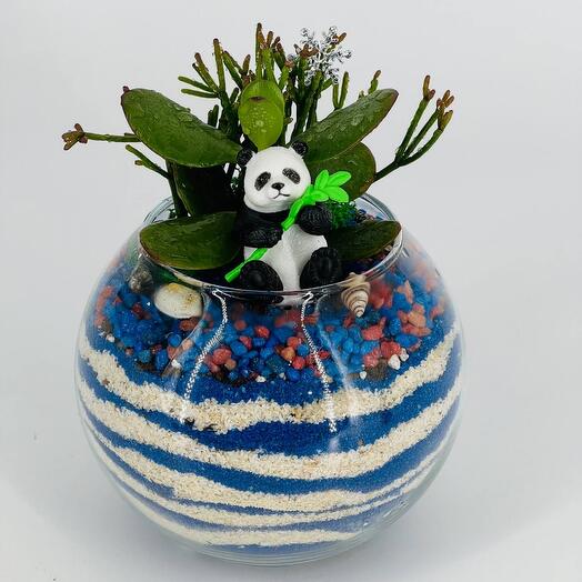 Florik with live plants succulents and panda