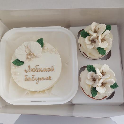Set of bento cake + cupcakes
