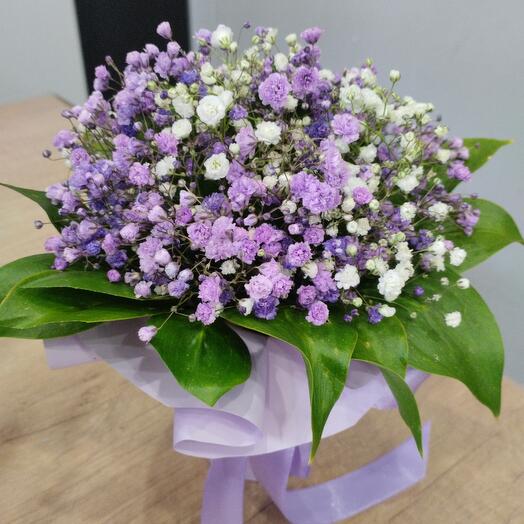 Гипсофила в стаканчике