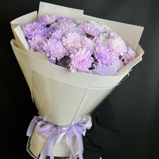 Стойкая хризантема