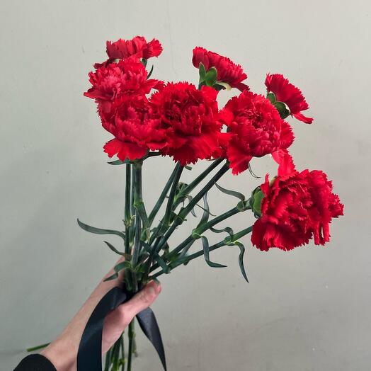 10 красных гвоздик