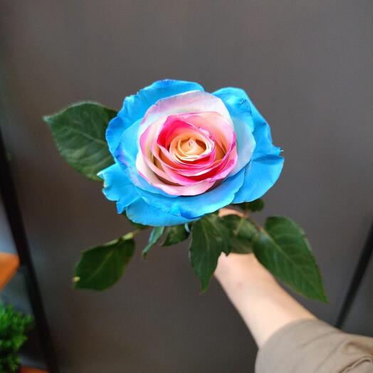 Роза Barbie Star 80cm