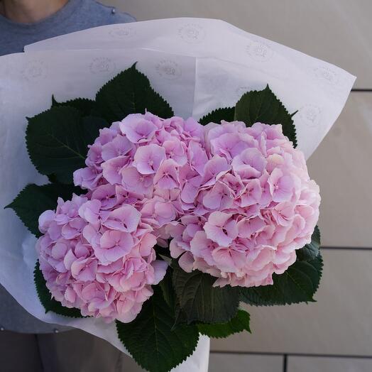 3 Гортензии💖