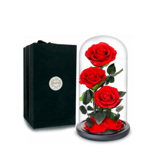 Red Infinity roses in a glass dome - 3 Roses