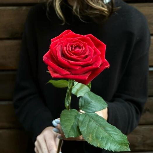 Rosa sola cabeza rojo Naomi