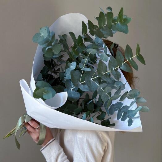 Ароматный эвкалипт