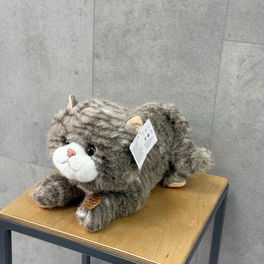 Мягкий кот