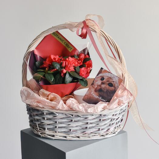 Подарочная корзина с азалией