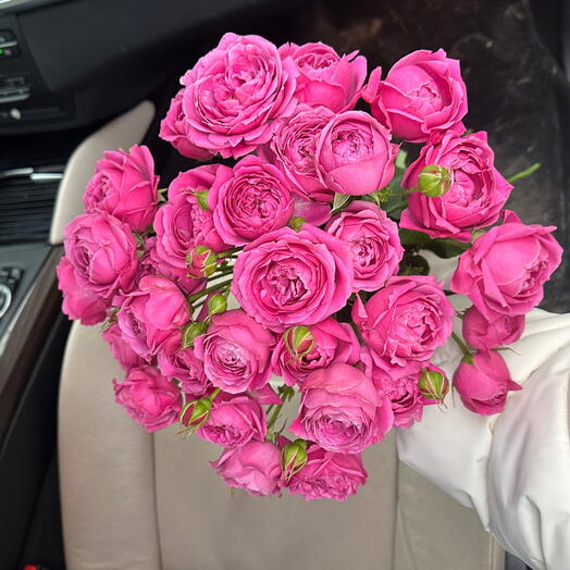 11 rosas de peonía