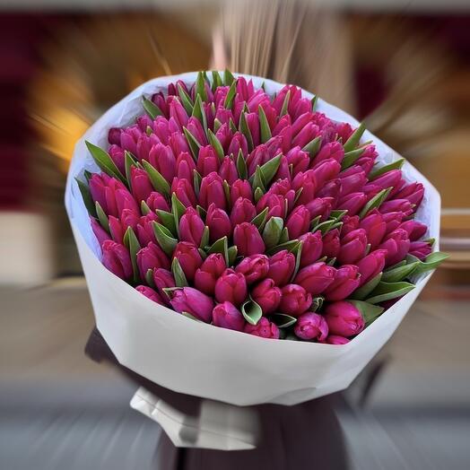 Тюльпаны 101