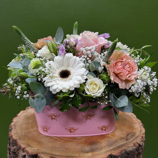 Pastel Harmony