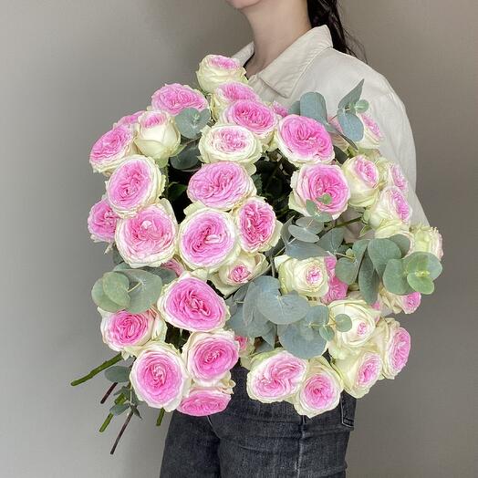 Bush roses