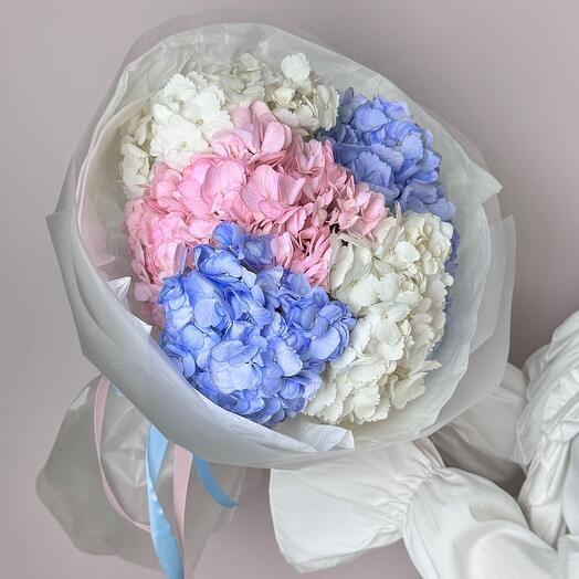 Bouquet of Hydrangeas 5 pieces