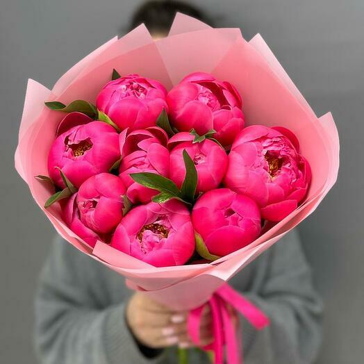 9 коралловых пионов (пионы Coral sharm) peony 0006