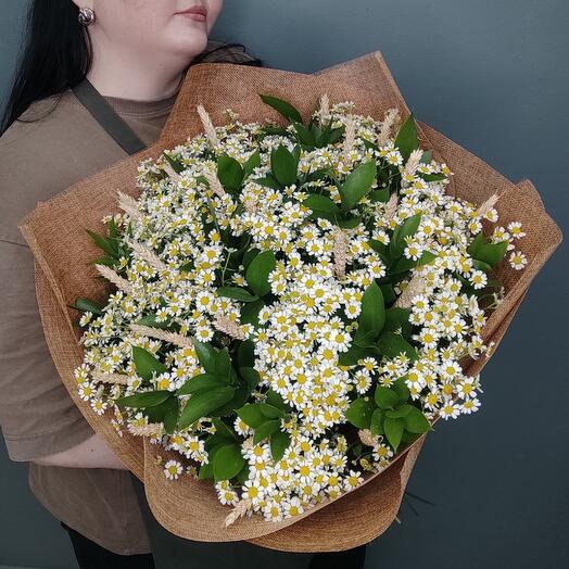 Большой букет ромашек/матрикария