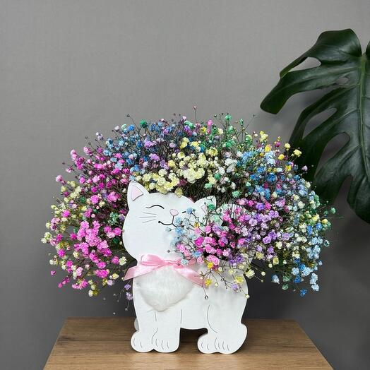 Plantador "Mi gatito"