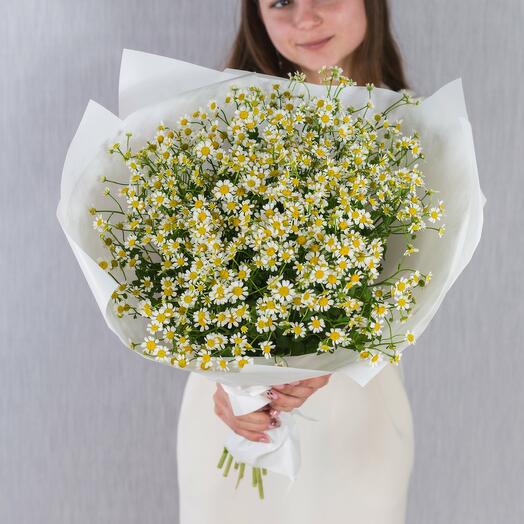 Круглый букет из ромашек танацетумов N 36303