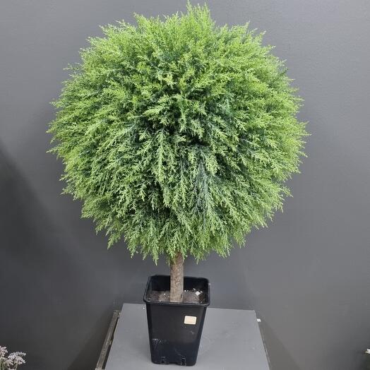 Искусственная туя шаровидная