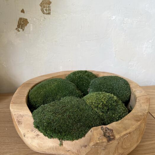 Preserved moss in wood form