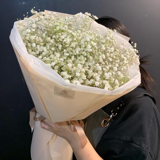 Bouquet of white gypsophila