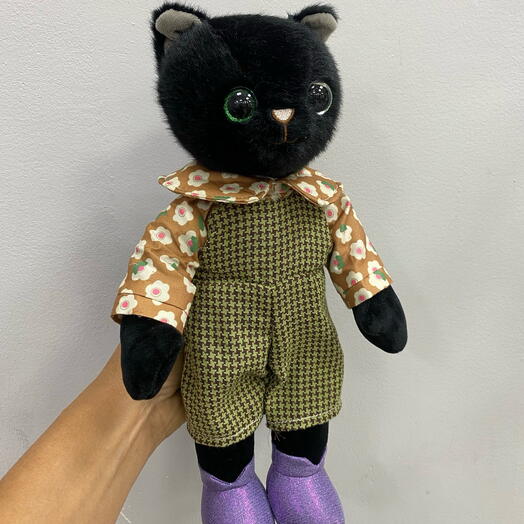 Котик Томми