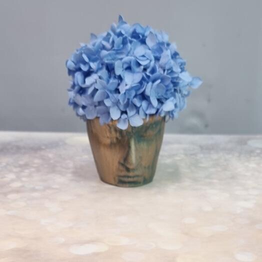 Стабилизированная гортензия в кашпо ручной работы Задумался