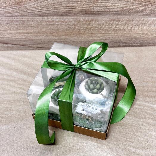 Подарочный набор со свечами-кактусами