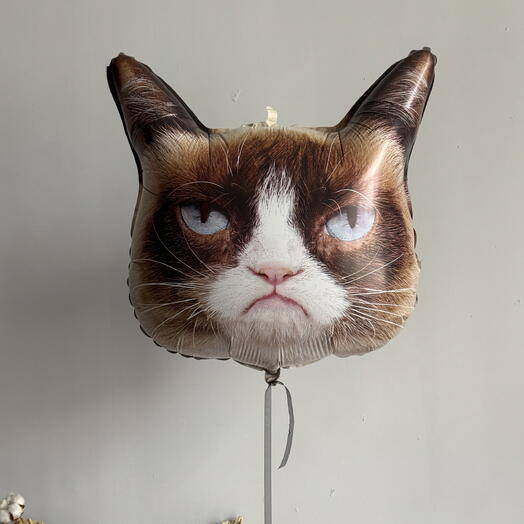Шар Кот недовольный party face , с недовольной мордой лицом фольгированный прикол сердитый
