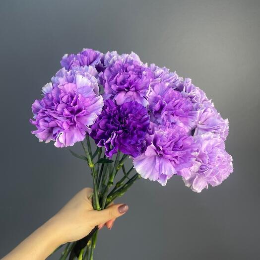 Ритуальный букет из 12 лунных гвоздик