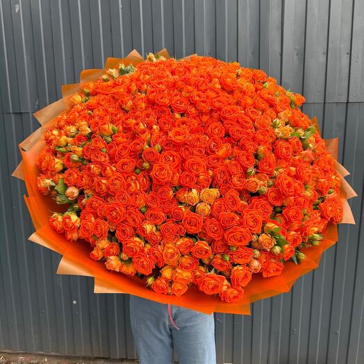 Кустовая Роза orange mood