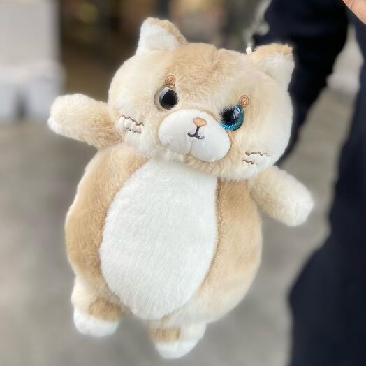 Милый котик