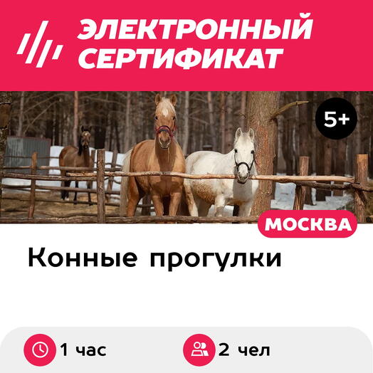 Подарочный сертификат Индивидуальная конная прогулка, 2 чел., будние дни (1 час)