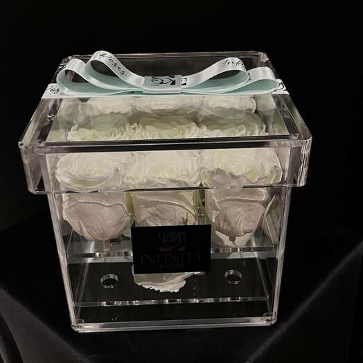 Infinity Premium Box — White Edition