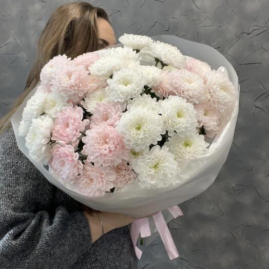 Розово -белые хризантемы Алтай