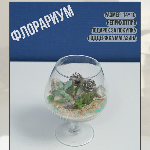 Флорариум сила природы (на духовный рост)