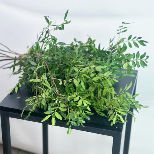 Фисташка зелень в пачке (10 шт)