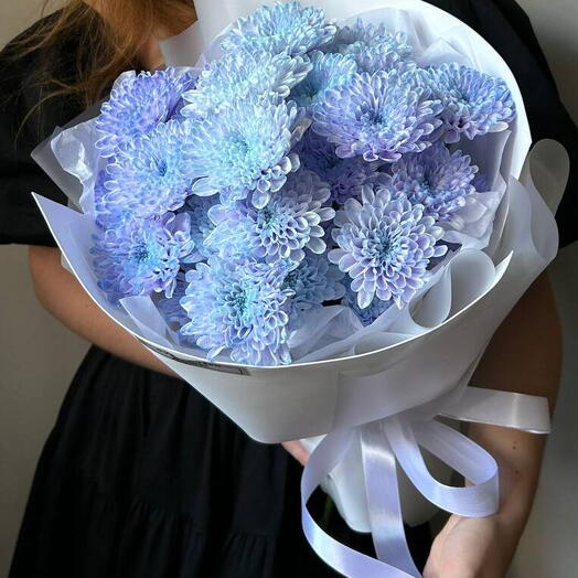5 lace lilac chrysanthemums