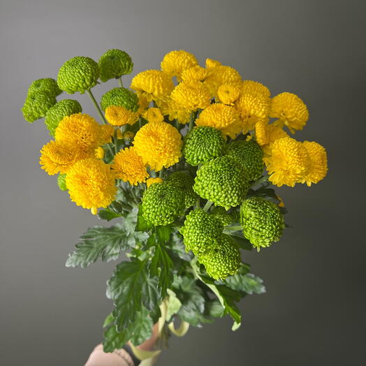 Букет из 5 разноцветных кустовых хризантем