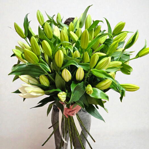 Огромный букет белых ароматных лилий, 21 стебель
