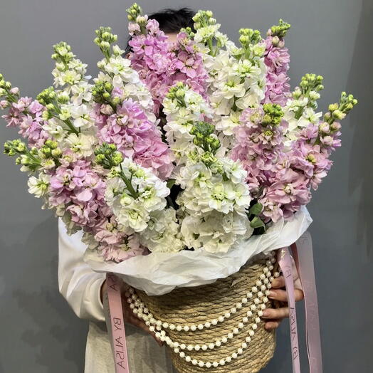 Кашпо с ароматной маттиолой