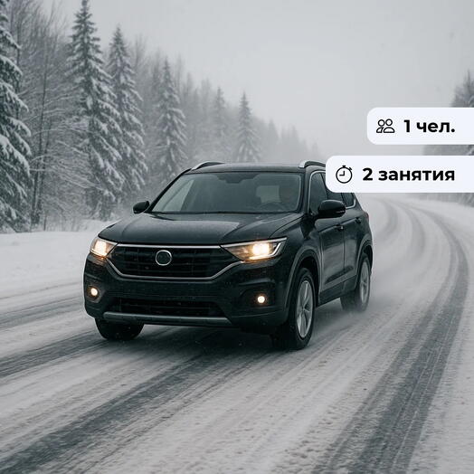Лёд тронулся!  Курс контраварийного вождения