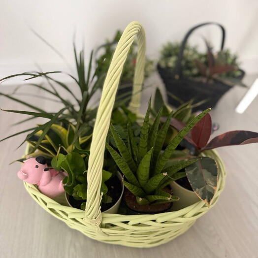 Корзинка ‘GreenGarden 🌳 ( L )