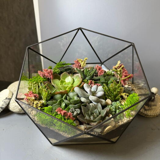 Флорариум большой с суккулентами Первая леди подарок