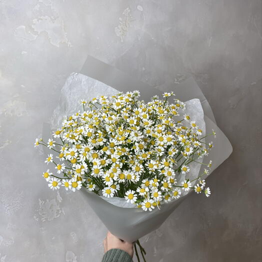Букет ромашек,9 шт