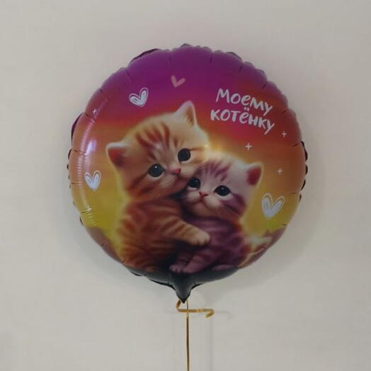 Шар моему котёнку 46 см