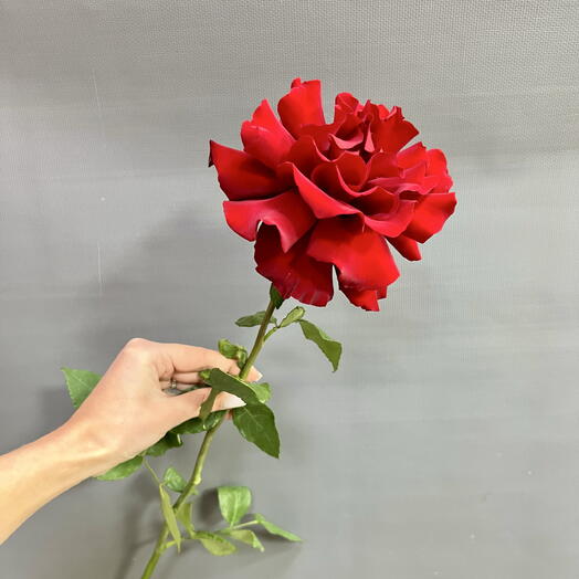 Французская Роза