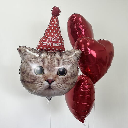 Шарики сердечки с котиком